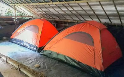 Bahorok Trekking Trip 4D3N