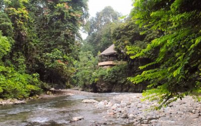 Sumatera Overland Eco Trip 11D10N