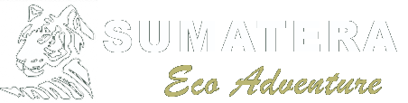 Sumatera Eco Adventure